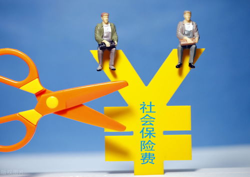 车辆保险费与劳务服务的进项税额扣除问题解析