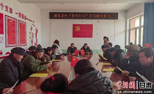 定西临洮县 春风送岗惠民生，劳务服务暖人心