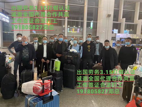 探路欧洲工厂 蚌埠市海聘劳务公司普工服务的专业实践